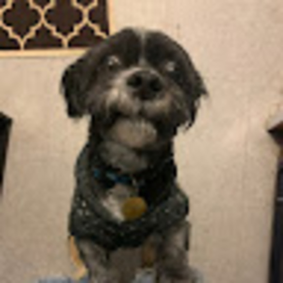 Meet your Posher, Kim - Picture 1 of 1